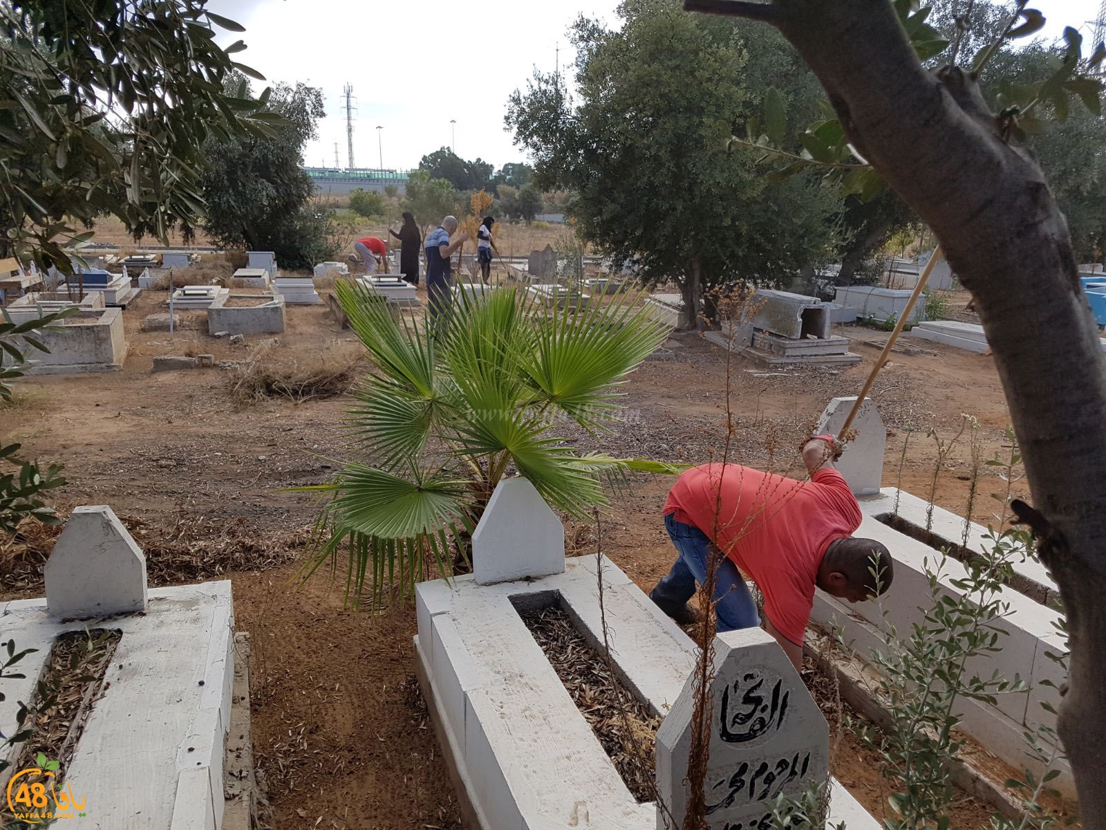 tasoo tandefet (33).jpg